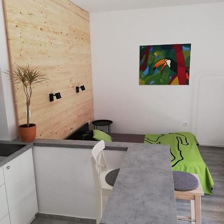 Studio Apartman Fleiss Apartment ซาโมบอร์ ภายนอก รูปภาพ