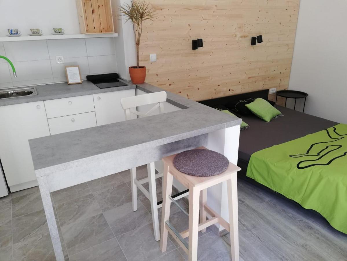 Studio Apartman Fleiss Apartment ซาโมบอร์ ภายนอก รูปภาพ