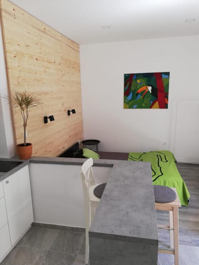 Studio Apartman Fleiss Apartment ซาโมบอร์ ภายนอก รูปภาพ